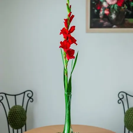 Apartament Viragos Vendeghaz