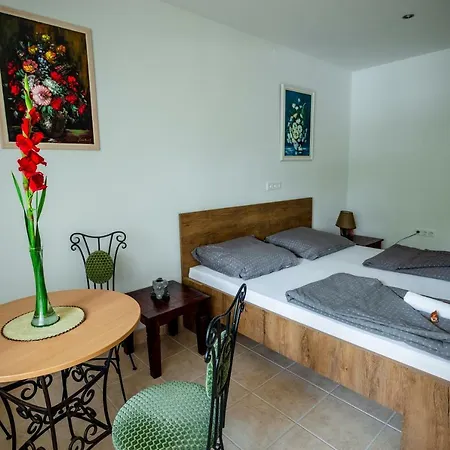Apartament Viragos Vendeghaz