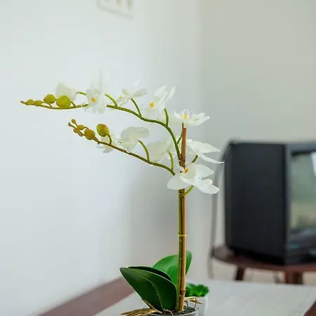 Viragos Vendeghaz Apartman *