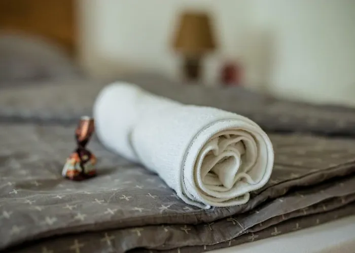 Viragos Vendeghaz Apartmán