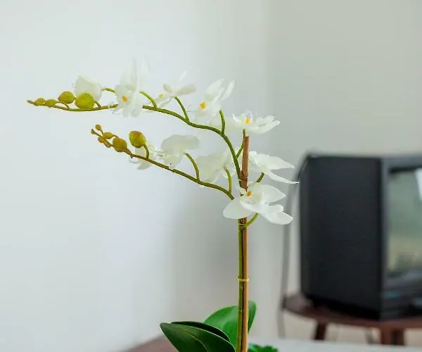Viragos Vendeghaz Apartmán *